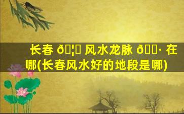 长春 🦁 风水龙脉 🌷 在哪(长春风水好的地段是哪)